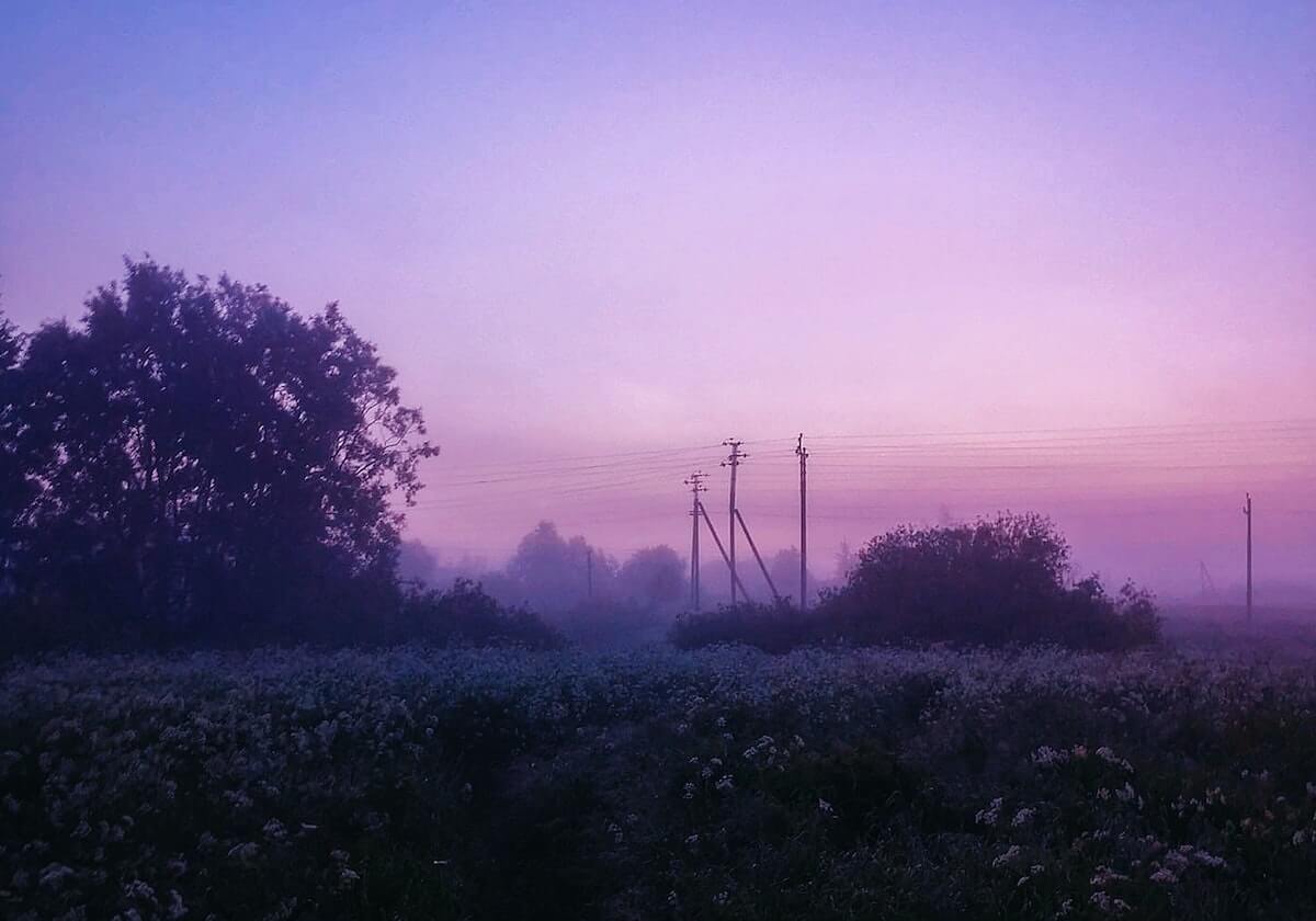 足球世界杯官网-15000名跑者从东方明珠启程，2026上海半程马拉松本周日开跑，吴向东、马瑞、李芷萱、许双双领衔出战